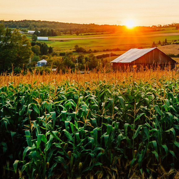 Seed Company in Indiana